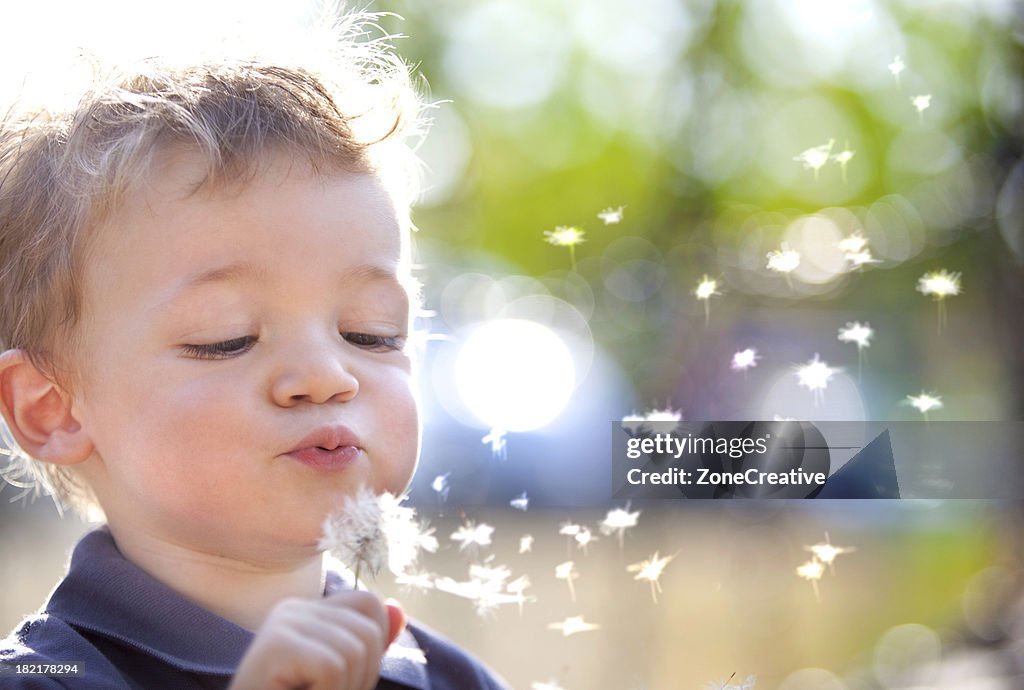 Beautiful blond kid blow dandelion outdoor