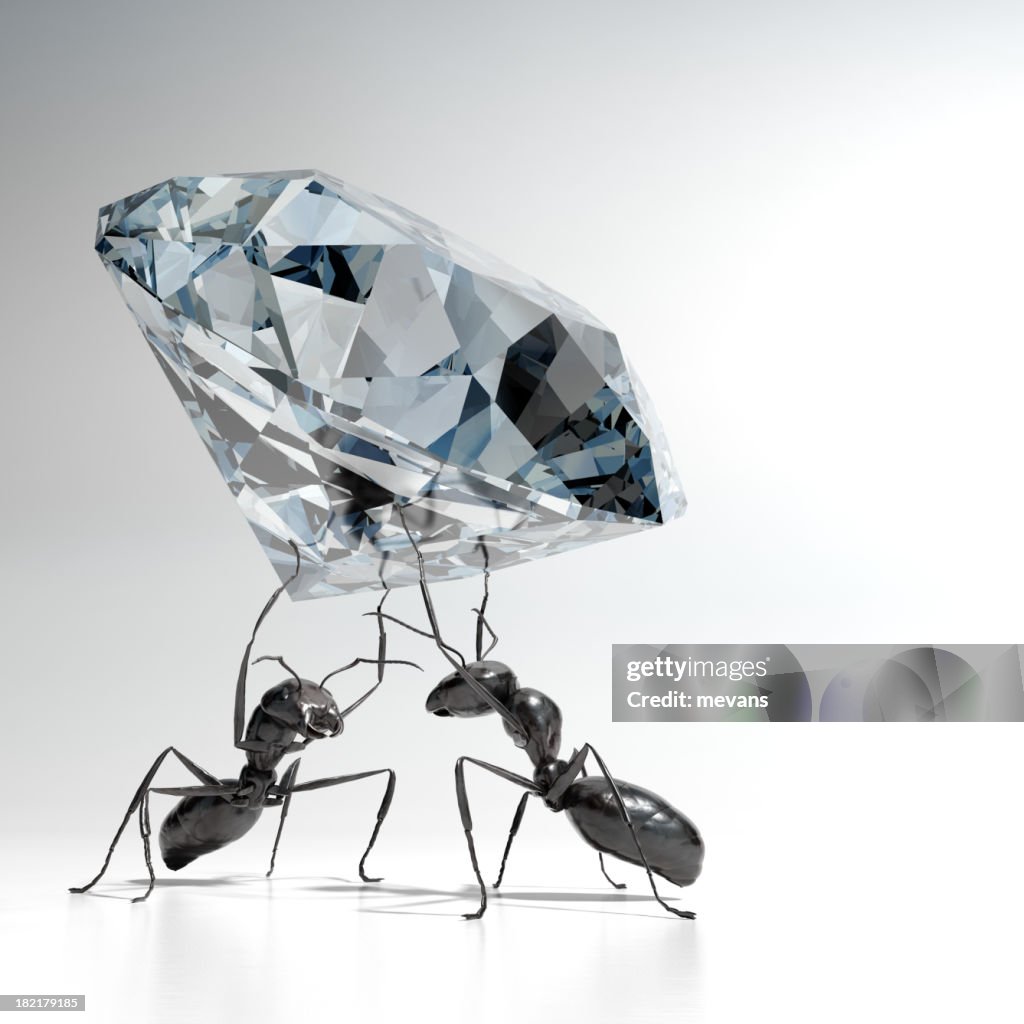 Fourmis transporter Diamond