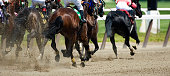 Horse Racing down the stretch they come
