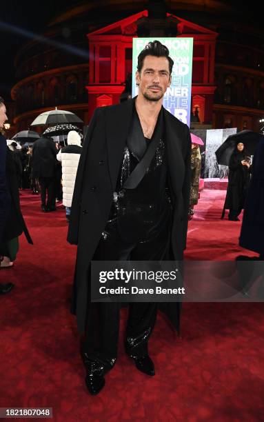 David Gandy attends The Fashion Awards 2023 presented by Pandora at The Royal Albert Hall on December 4, 2023 in London, England.