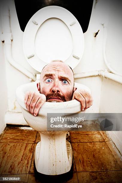 now i'm really in the poo! desperate man down toilet - really weird bildbanksfoton och bilder