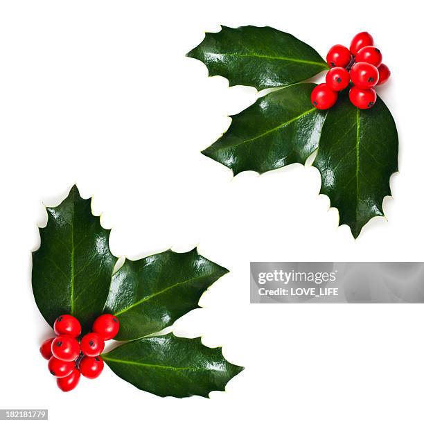 christmas holly ecken - weihnachtsdekoration stock-fotos und bilder