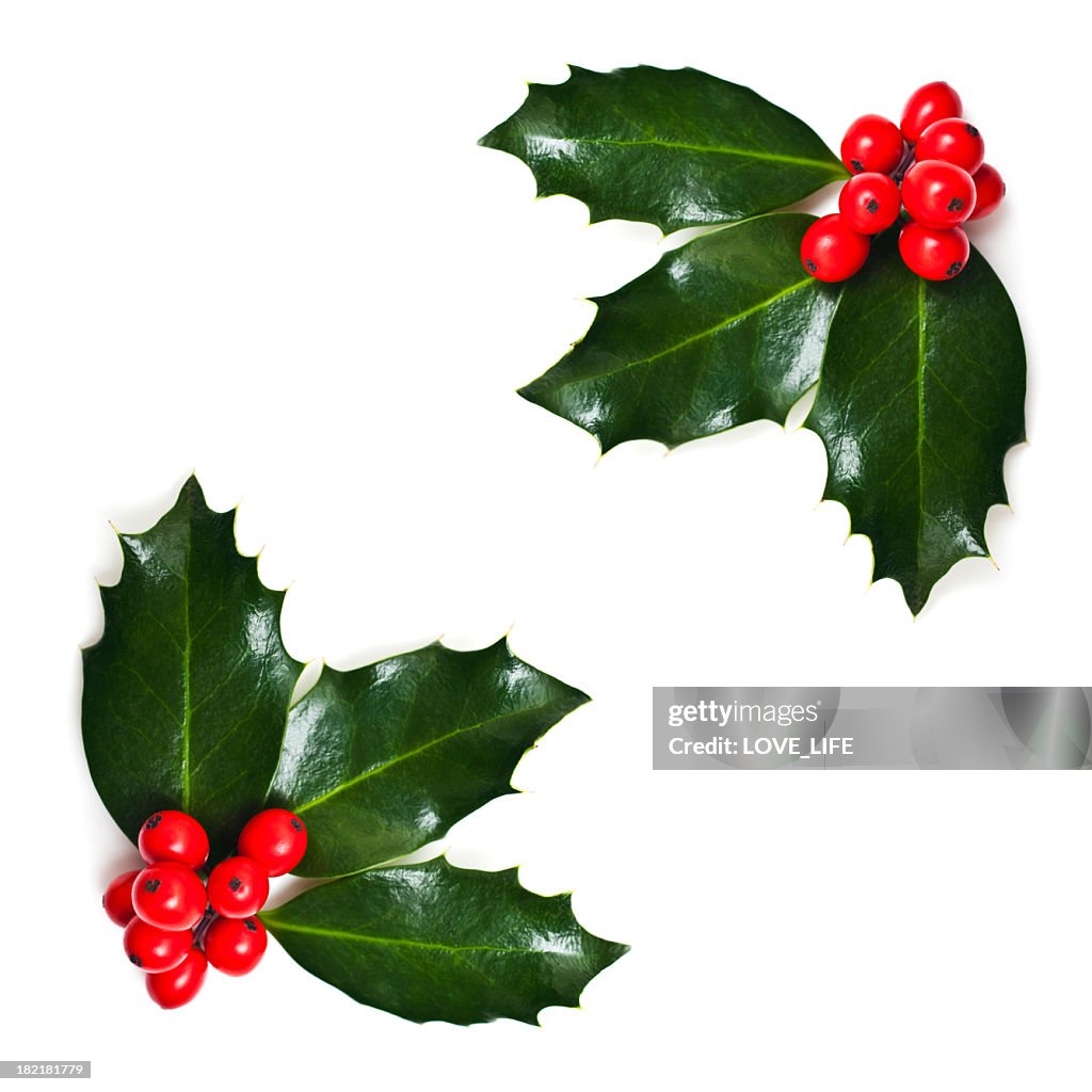 Christmas Holly Corners