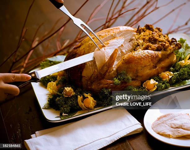 carving roast turkey - turkey meat stock pictures, royalty-free photos & images