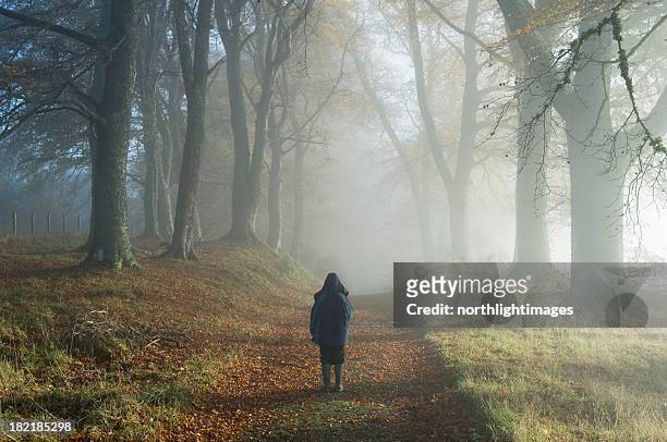 young boy in misty woodland - foggy forest stock pictures, royalty-free photos & images