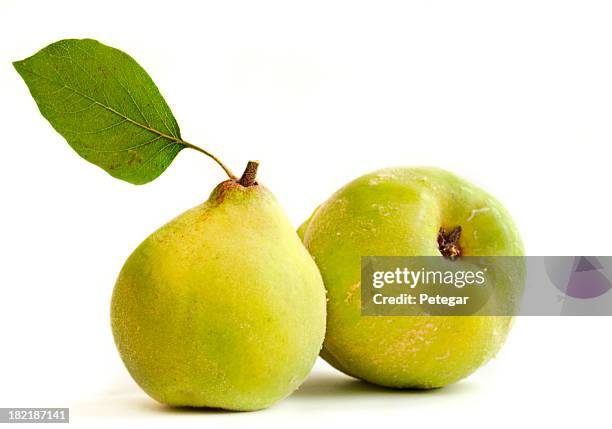 quinces - pears stock-fotos und bilder
