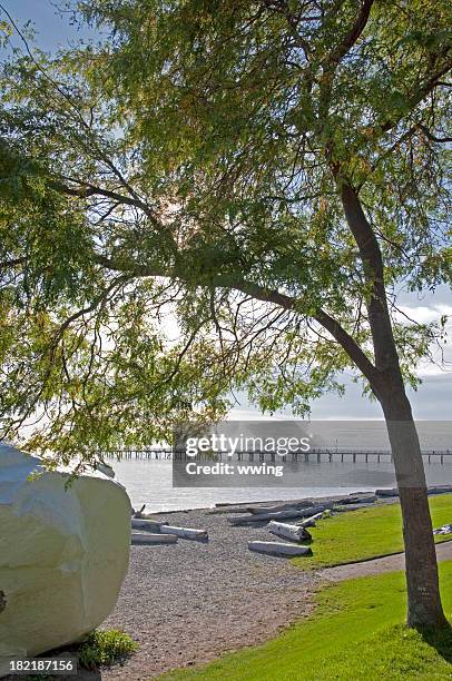 white rock british columbia - white rock bc stock pictures, royalty-free photos & images