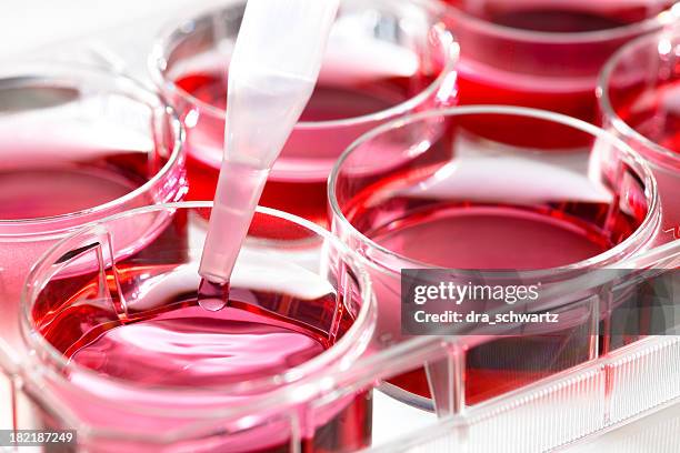 biomedical research background - enzyme structure stock pictures, royalty-free photos & images