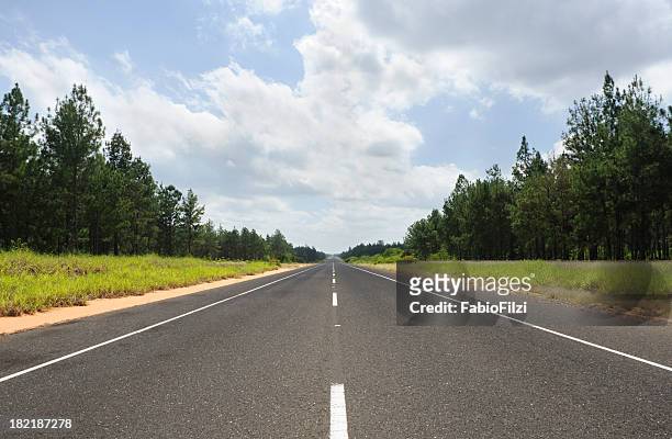 higway in pine forest - fabio filzi stock pictures, royalty-free photos & images