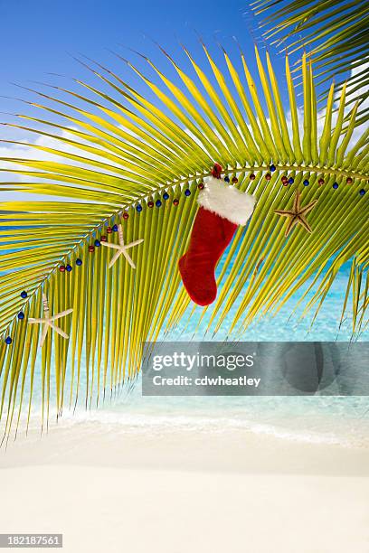 weihnachts-dekorationen auf einem tropischen strand - christmas palm tree stock-fotos und bilder