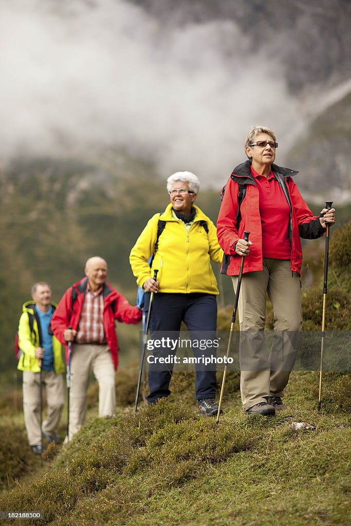 Colorful senior hiking group vertical