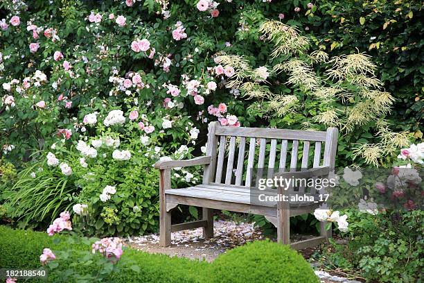 park bench sitting vacant near bushes of flowers - zitbank stockfoto's en -beelden