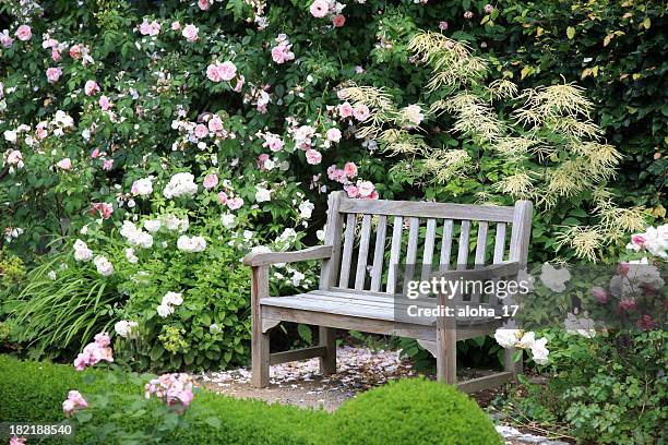 park bench sitting vacant near bushes of flowers - formal garden stock pictures, royalty-free photos & images