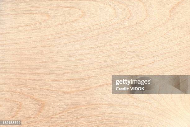 legno naturale di texture ad alta risoluzione - betulla foto e immagini stock