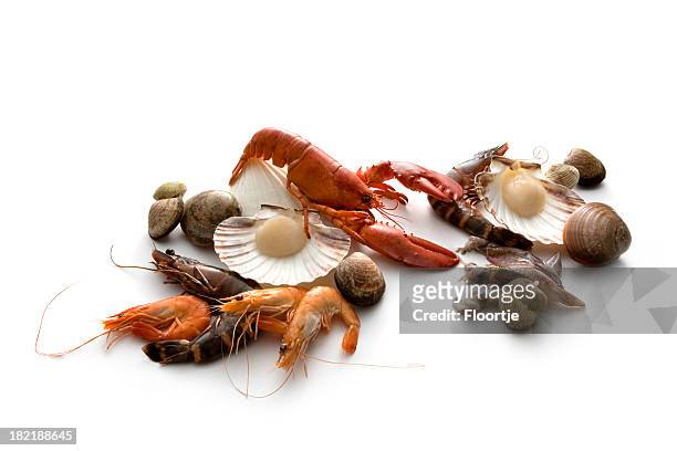 frutti di mare: gamberi, aragosta, gamberetti e frutti di mare - mollusco foto e immagini stock