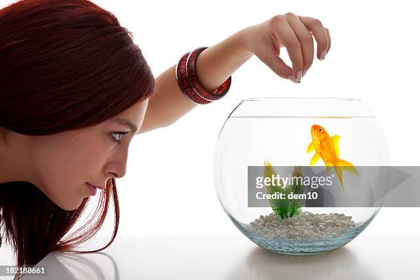 young woman looking at fish tank - fish bowl stock pictures, royalty-free photos & images