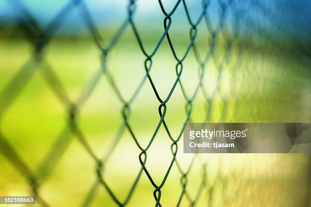 maschendrahtzaun - wire mesh fence stock-fotos und bilder