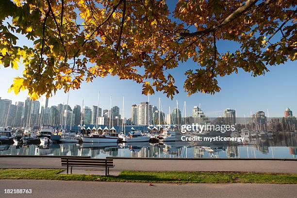 parque stanley de vancouver - stanley park fotografías e imágenes de stock