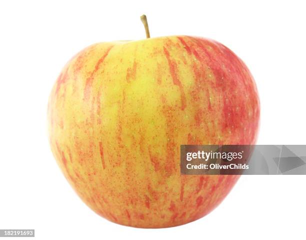 honeycrisp apple. - honeycrisp apples stock pictures, royalty-free photos & images