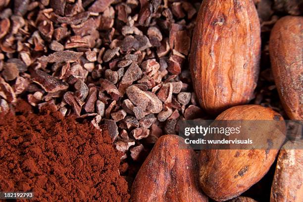 cocoa beans and powder - cacao beans stock pictures, royalty-free photos & images