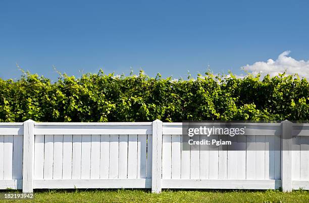 white gartenzaun - zaun stock-fotos und bilder