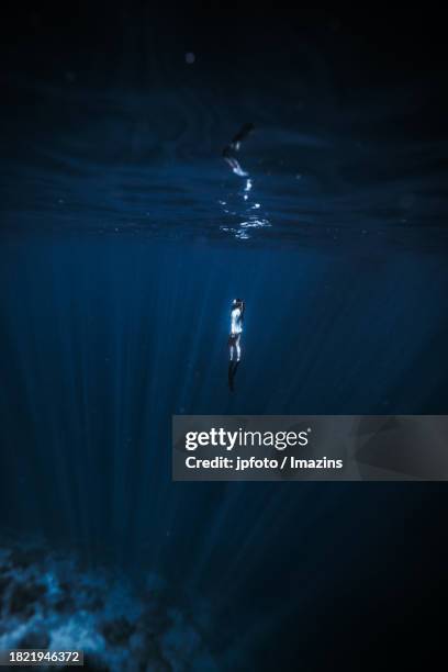 maldives underwater environment - aqua jogging stock pictures, royalty-free photos & images