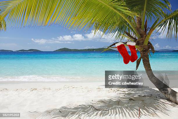 merry christmas from the caribbean - caribbean christmas 個照片及圖片檔