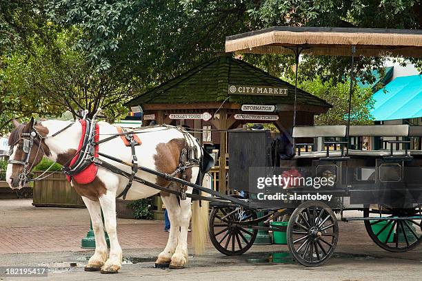 savanah ga: horsecart for tourists at city market - savannah bildbanksfoton och bilder