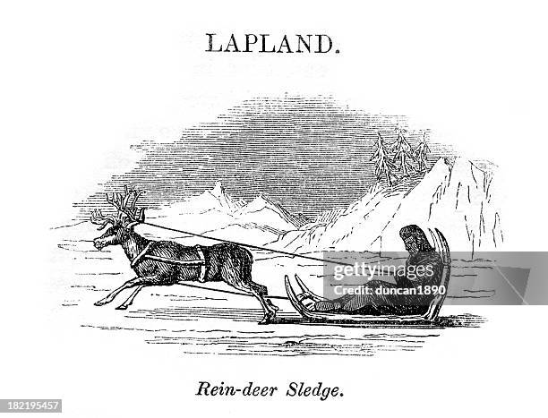 reindeer sledge - finland winter stock illustrations