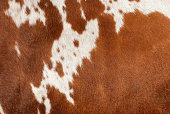 Authentic Cowhide