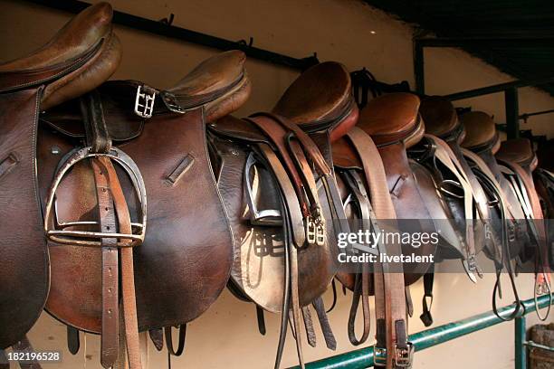 english saddles hung up at a polo field stables - horse saddle stock pictures, royalty-free photos & images