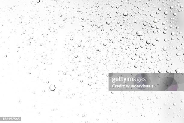 water drops on white - s rain or shine stockfoto's en -beelden