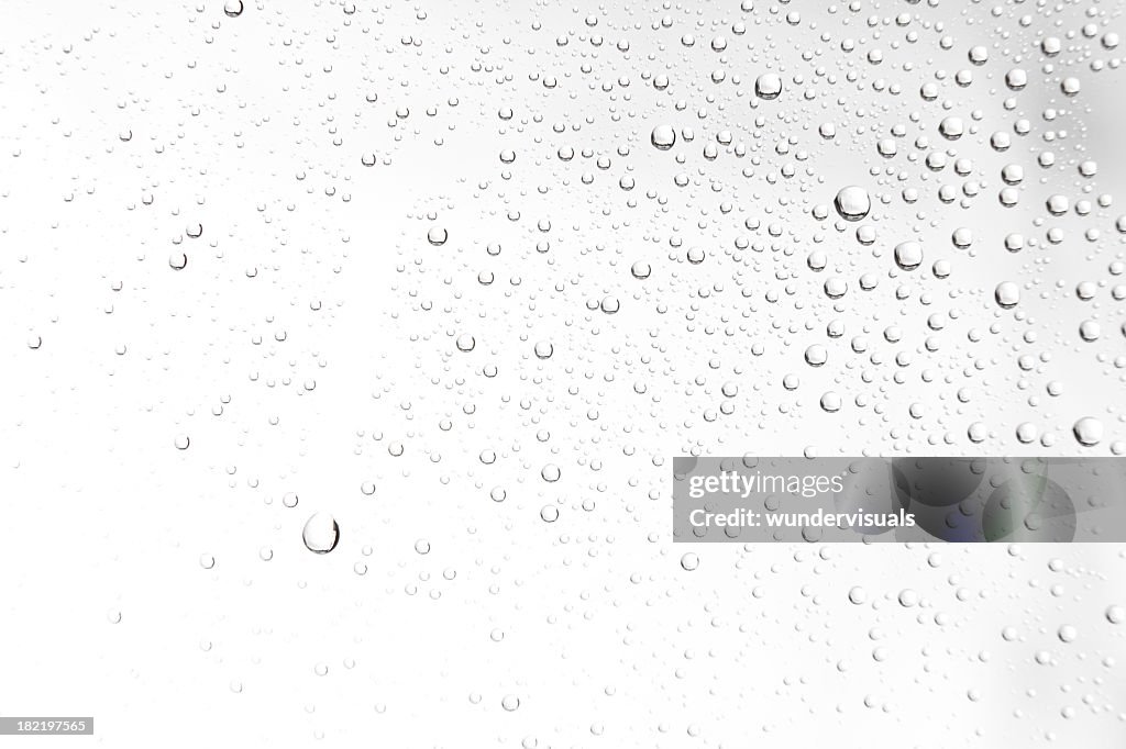 Water drops on white