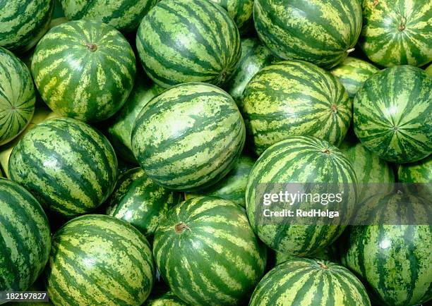 melón de papel tapiz - watermelon fotografías e imágenes de stock