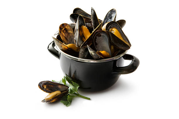 seafood: mussels - mosselpan stockfoto's en -beelden