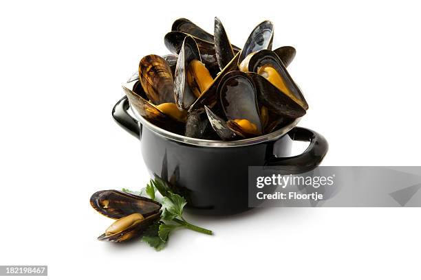 seafood: mussels - mussels bildbanksfoton och bilder