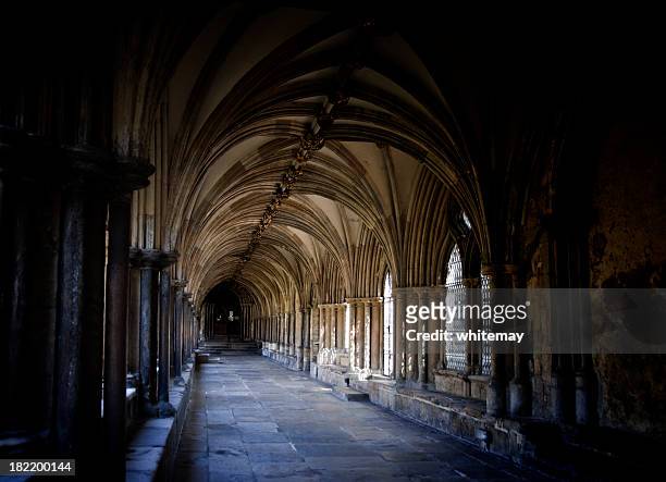 norwich habitación cloister y techos estilo catedral - catedral interior fotografías e imágenes de stock