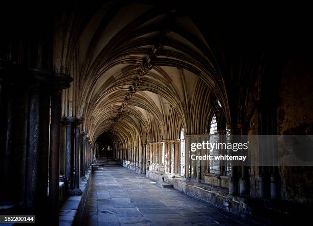 norwich cathedral cloister and ceiling - norwich cathedral stock pictures, royalty-free photos & images