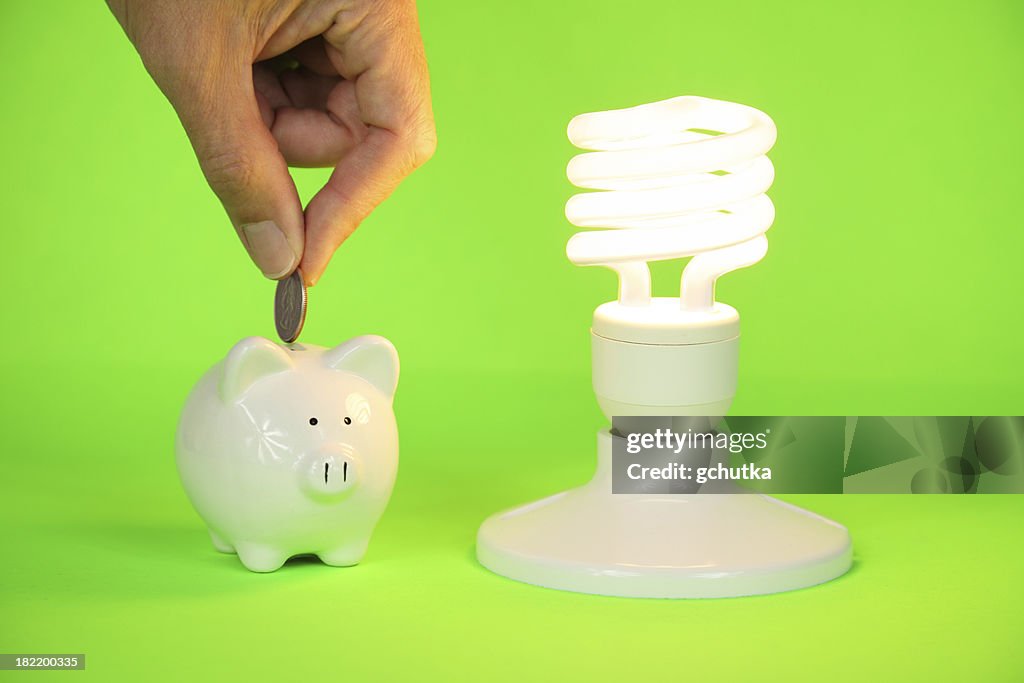 Money Saving CFL Bulb