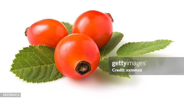 rose hip - rose hip stock pictures, royalty-free photos & images