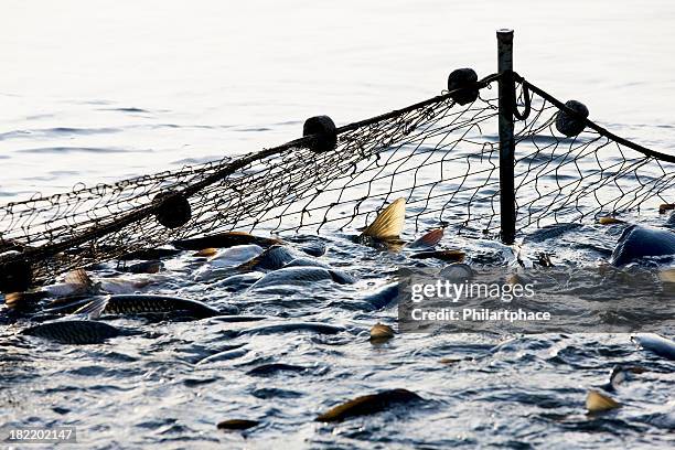 industria della pesca - rete da pesca commerciale foto e immagini stock