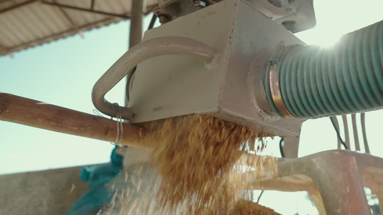 Food Rice Factory 14 Rice Threshing Factory Production Images Stock Videos, Footage, & 4K ...
