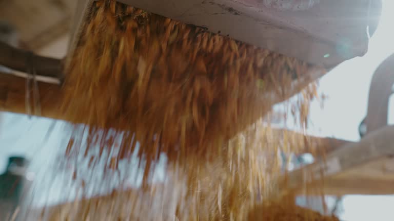 Food Rice Factory 14 Rice Threshing Factory Production Images Stock Videos, Footage, & 4K ...