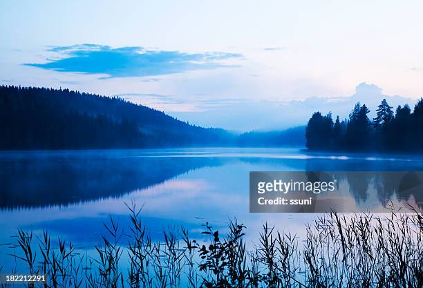 misty lake - lake stockfoto's en -beelden