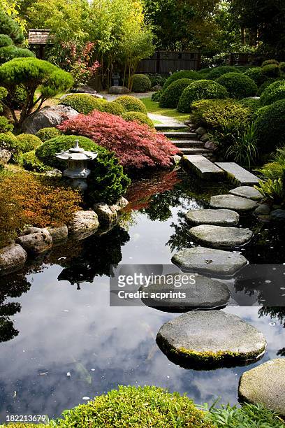 jardín japonés - charca fotografías e imágenes de stock