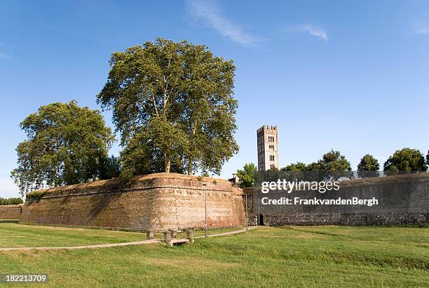 medieval walls - lucca stock pictures, royalty-free photos & images