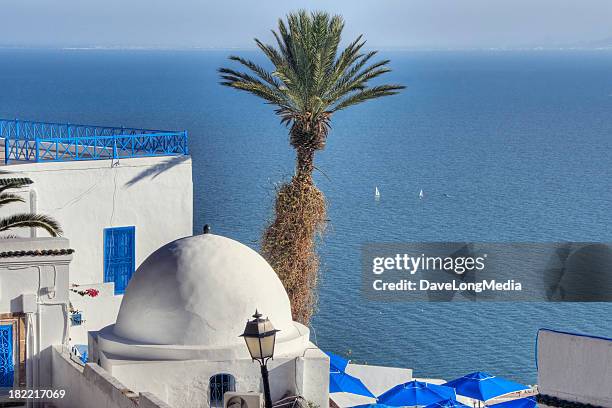 tropical tunisia - tunis stock pictures, royalty-free photos & images