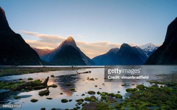dawn at milford sound, in new zealand's fiordland national park - simonbradfield stock pictures, royalty-free photos & images