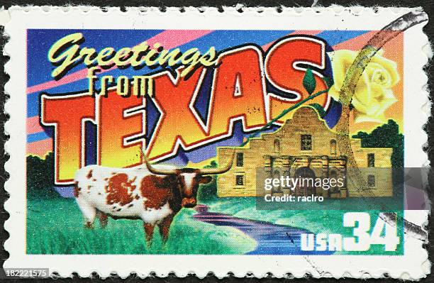 テキサスのロングホーン、アラモの砦 - longhorn ストックフォトと画像