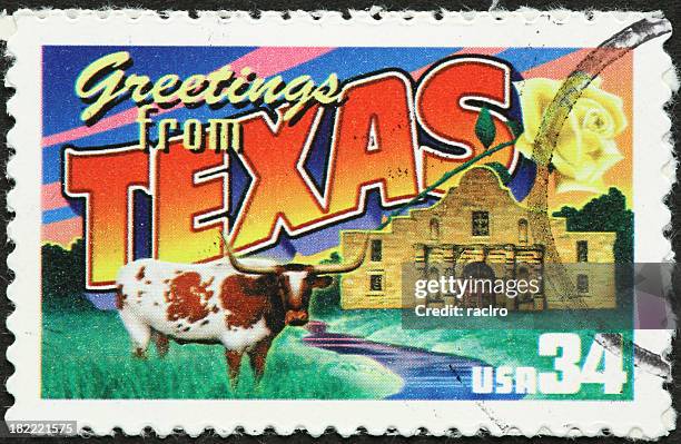 texas longhorn and the alamo - texas longhorn stock pictures, royalty-free photos & images